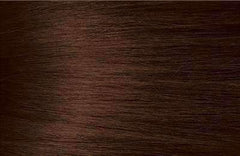 Bigen Semi Permanent Hair Color - C2 Chocolate