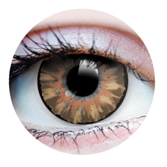 22747 Delightful Honey