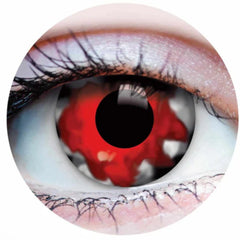 22940 Walking Dead II