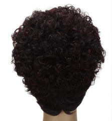 EVELYN: 100% Human Hair Daily wig