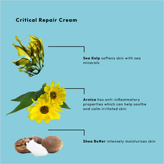 BCL Sea Kelp Critical Repair Cream