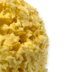 Natural Organic Sea Sponge