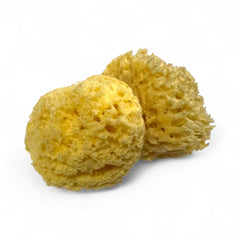 Natural Organic Sea Sponge