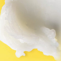 Burt's Bees Shea + Passion Fruit Oil Moisturizing Lip Balm