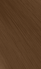 Bigen Speedy Hair Color - Light Warm Chestnut (LC)
