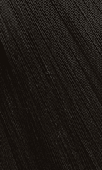 Bigen Speedy Hair Color - Natural Black(N)