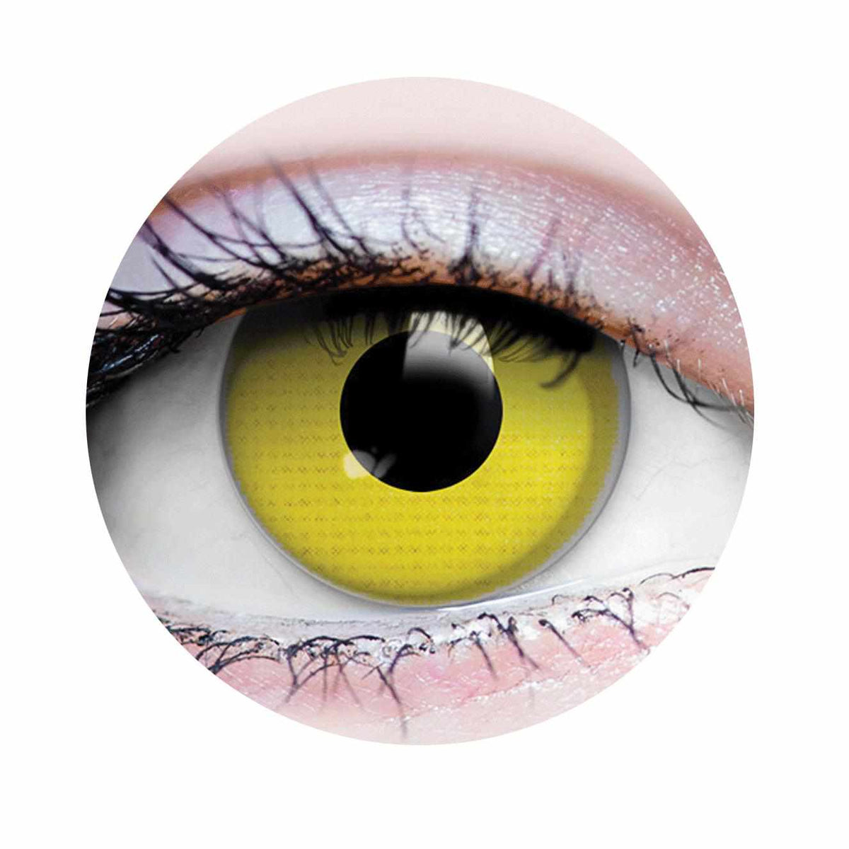 PRIMAL ® Raven - Yellow Colored contact Lenses