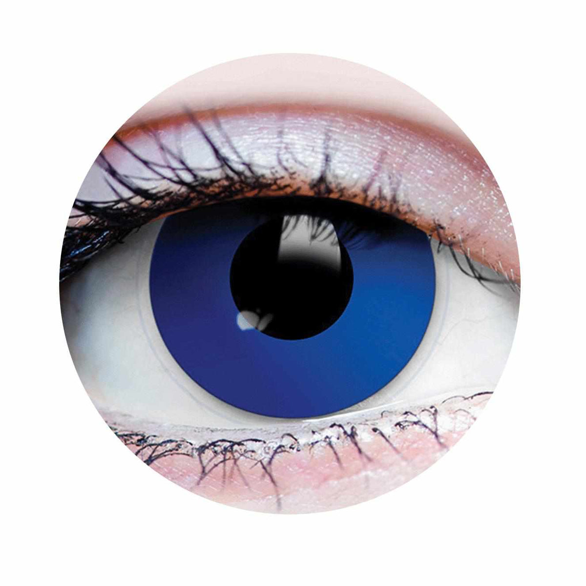 PRIMAL ® Wonderland - Blue Colored Contact Lenses