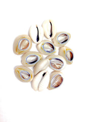 144 Magic Gold Shell Beads - Small Dark Ivory #7000