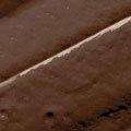 Black Opal True Color Pore Perfecting Liquid Foundation - Black Walnut