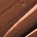 Black Opal True Color Pore Perfecting Liquid Foundation - Hazelnut