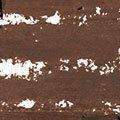 Black Opal True Color Skin Perfecting Stick Foundation SPF 15 - Black Walnut