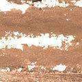 Black Opal True Color Skin Perfecting Stick Foundation SPF 15 - Champagne Beige