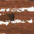 Black Opal True Color Skin Perfecting Stick Foundation SPF 15 - Hazelnut