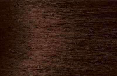 Bigen Semi Permanent Hair Color - C2 Chocolate