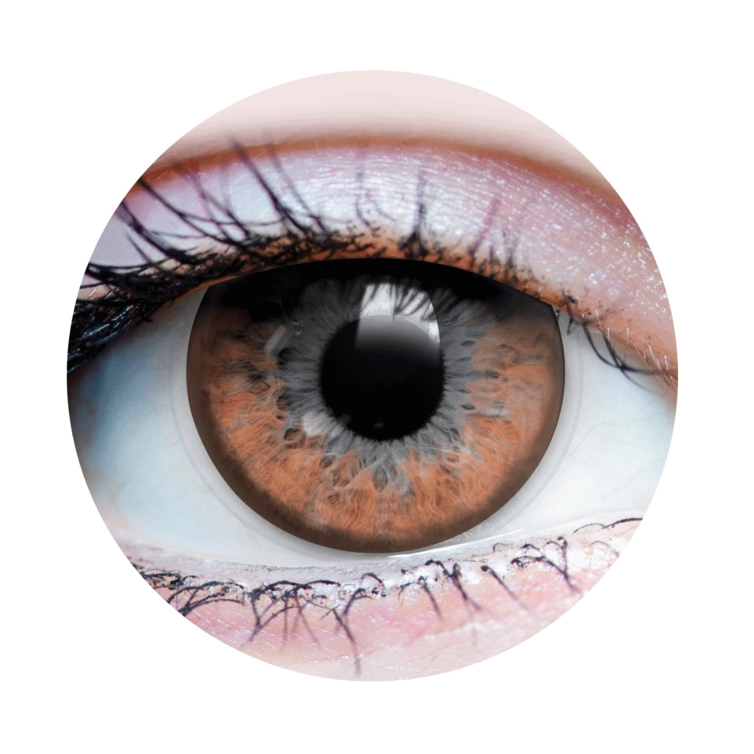 22510 Twilight Hazel