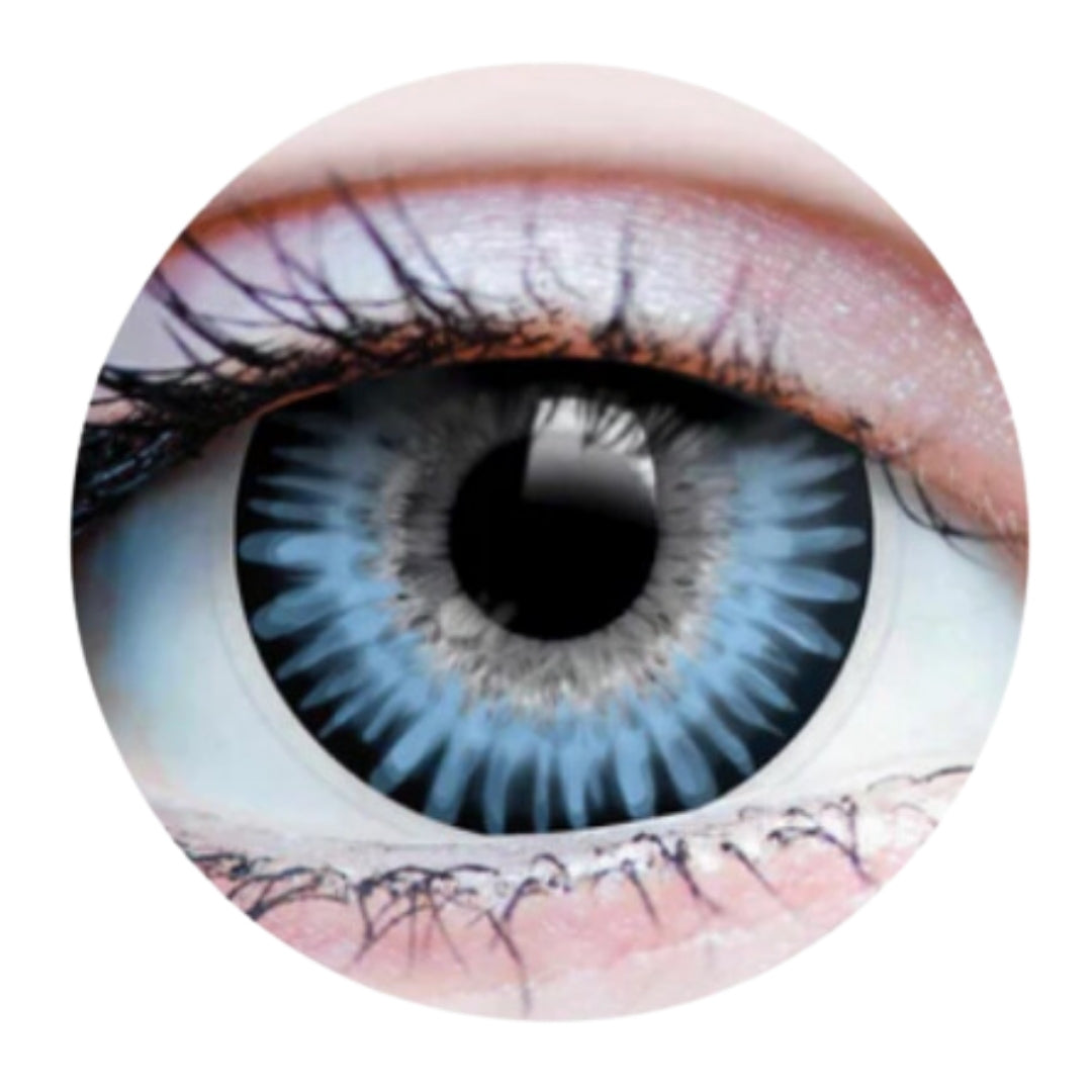 22659 Temptress Ocean