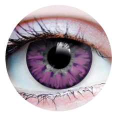 22705 Enchanted Lilac