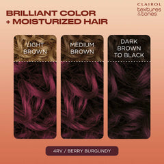 Clairol Textures & Tones Hair Color - 4RV Berry Burgundy