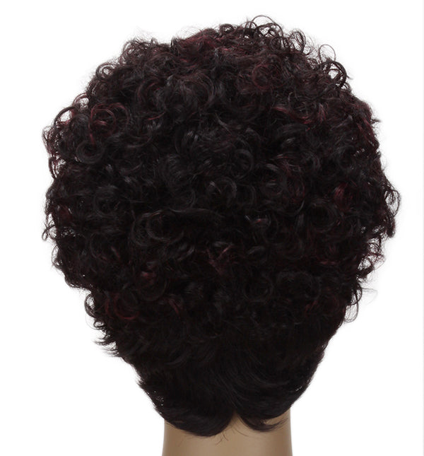 EVELYN: 100% Human Hair Daily wig
