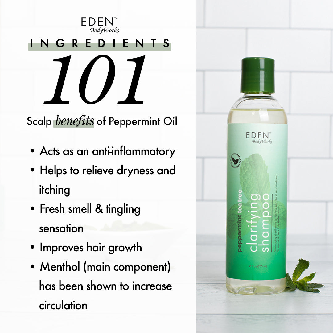 EDEN BodyWorks Peppermint Tea Tree Shampoo 8oz