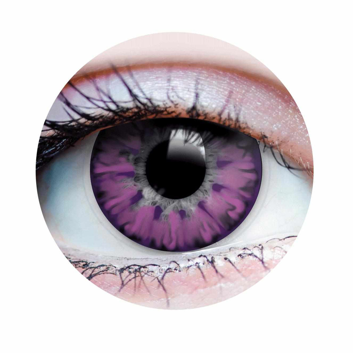 PRIMAL® Enchanted Lilac - Purple Colored contact Lenses
