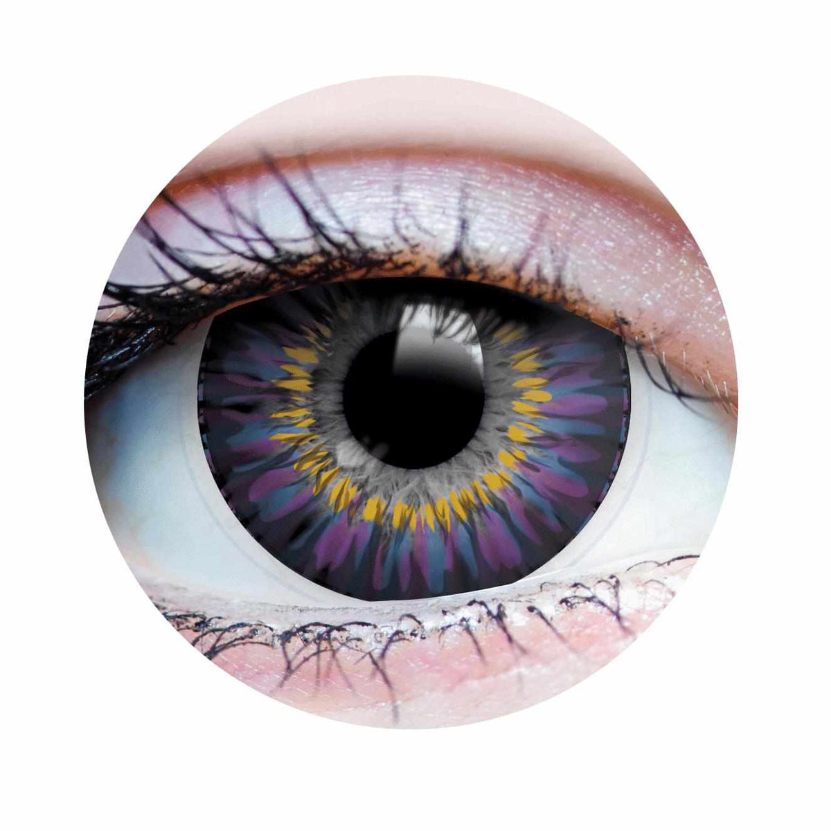 PRIMAL® Moonrise Lilac - Purple Colored contact Lenses