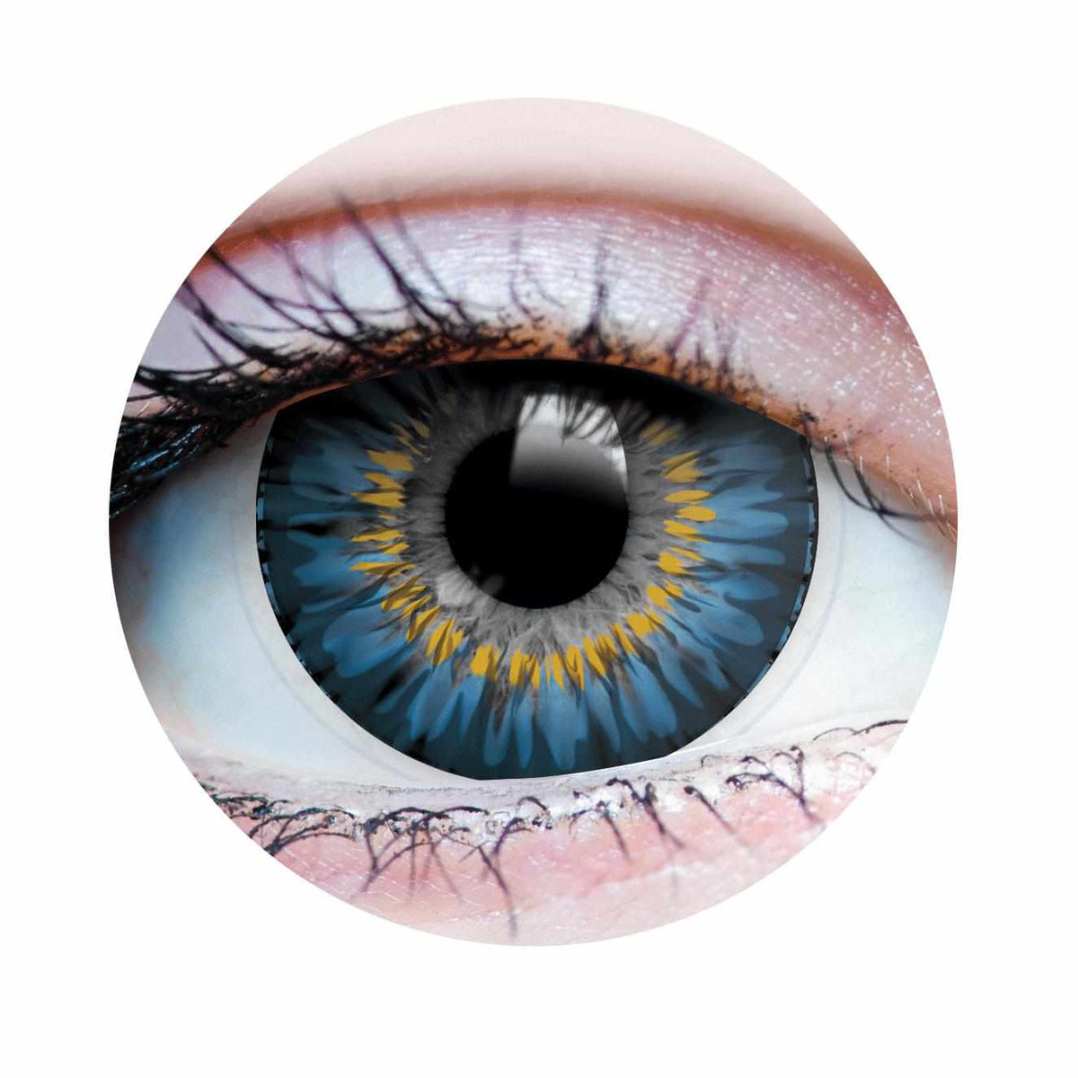 PRIMAL® Moonrise Ocean - Blue Colored contact Lenses