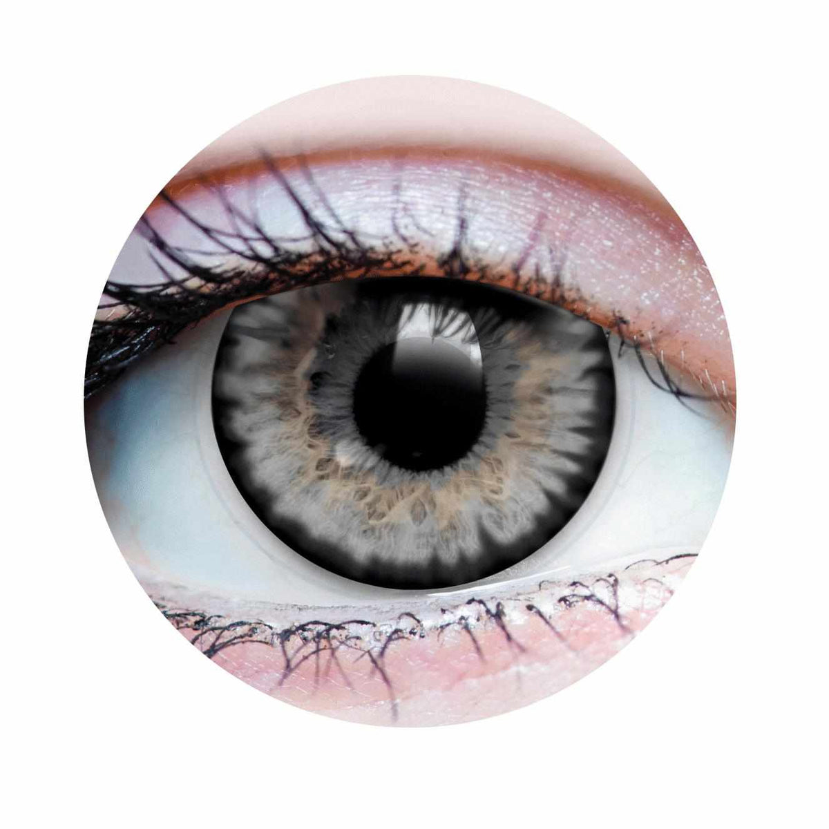 PRIMAL® Starlight Ash - Grey Colored contact lenses.