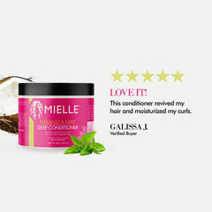 Mielle Babassu Oil & Mint Deep Conditioner