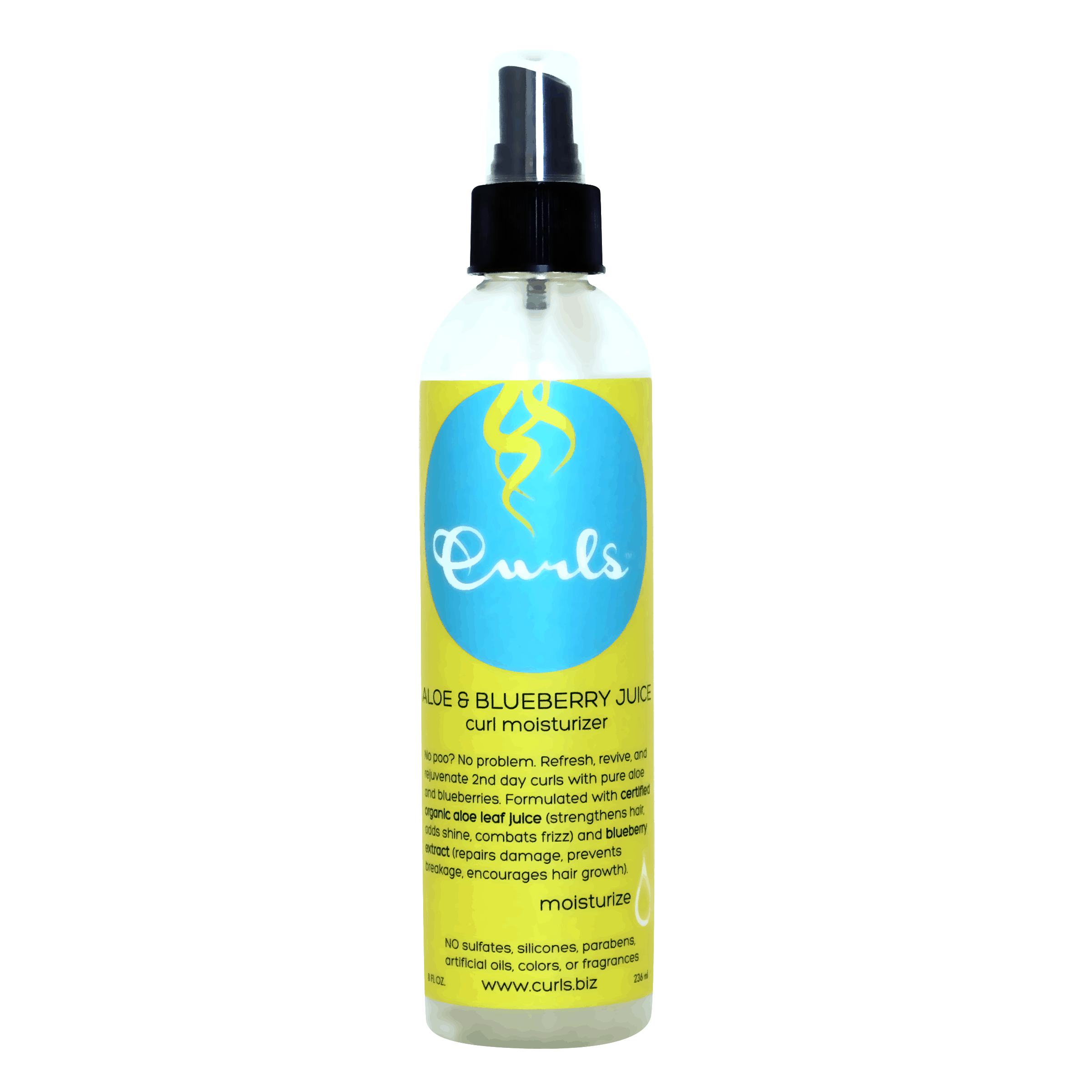 Curls Aloe & Blueberry Juice Curl Moisturizer 8oz
