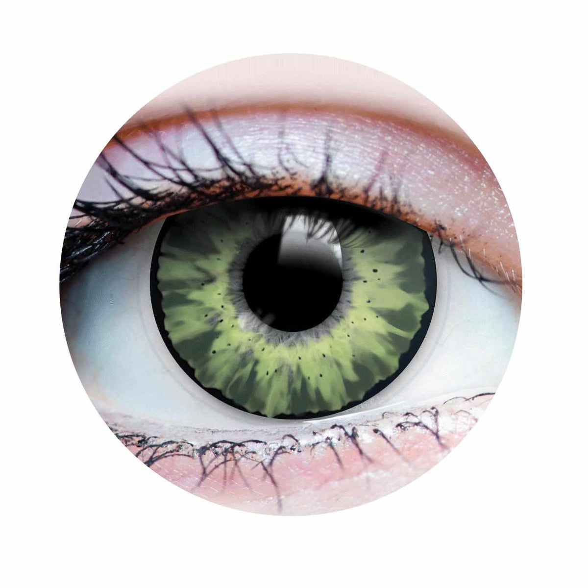 PRIMAL® Delightful Jade - Green Colored Contacts