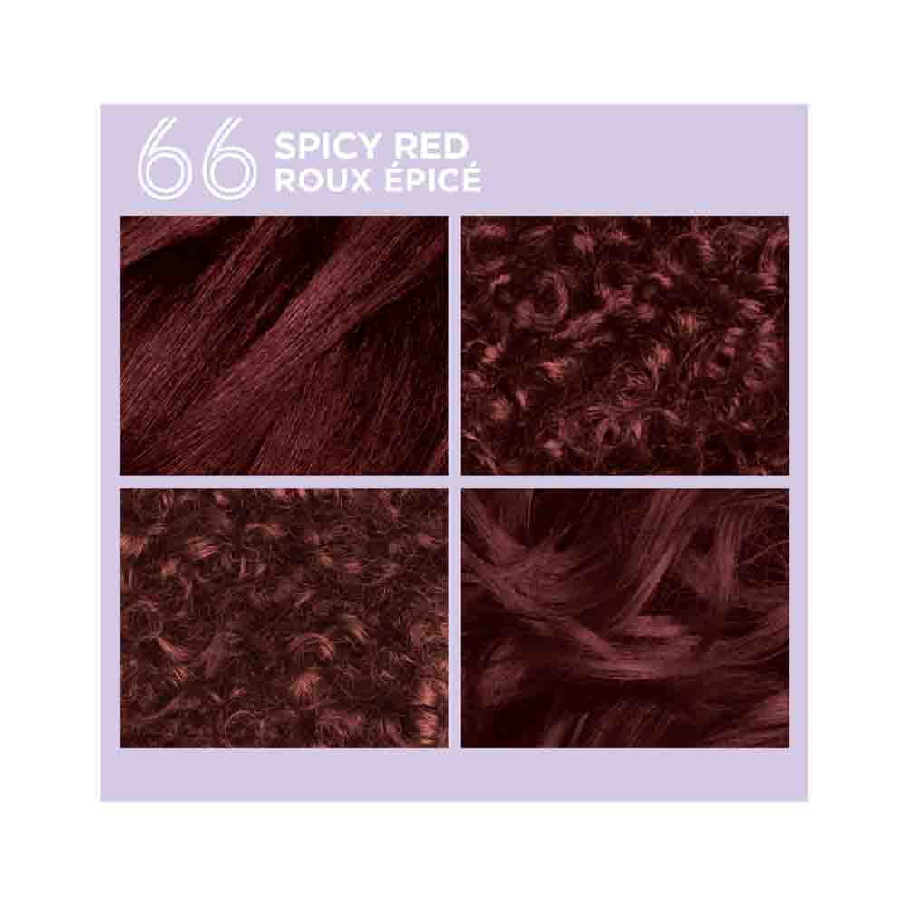 Dark & Lovely Go Intense Ultra Vibrant Hair Color - 66 Spicy Red