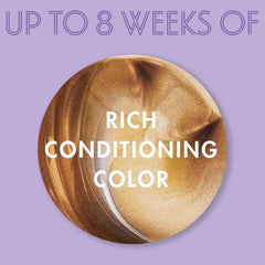 Dark & Lovely Fade Resist Rich Conditioning Hair Color - 378 Honey Blonde