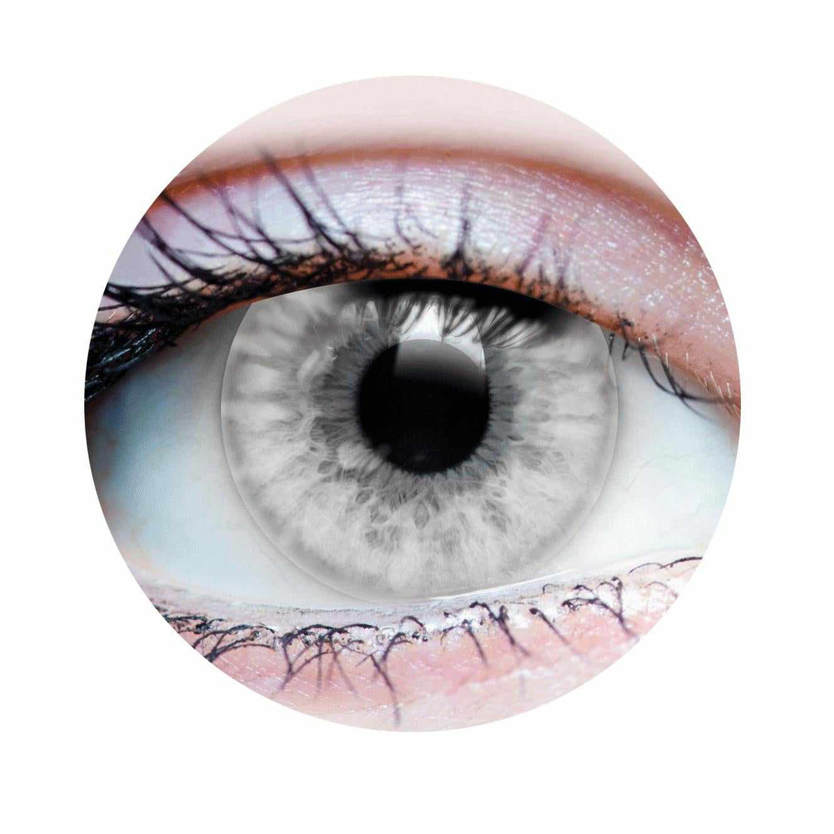 PRIMAL® Pure Ash - Grey Colored Contact Lenses
