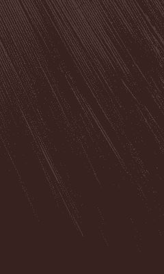 Bigen Speedy Hair Color - Brown Black (S)